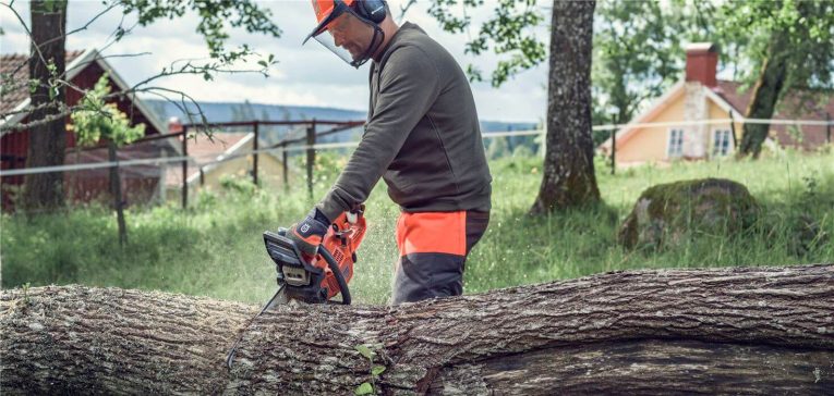 Comment couper des branches avec une tronçonneuse ?